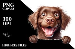 Funny Chesapeake Retriever Watercolor | Sublimation | Product Image 3