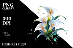 Calla Lily with Material PNG Product Image 2