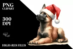 a Cute Sitting Malinois with Santa Hat PNG Product Image 1