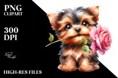 Baby Yorkshire Terrier White Background Clipart Product Image 1