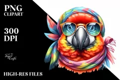 Vibrant Macaw with Scarf and Sunglasses | Sublimation | Product Image 1
