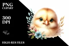Cute Baby Chicken, Transparent PNG Product Image 3