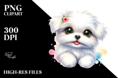Baby Maltese, Transparent PNG Product Image 2