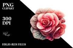 Shiny Begonia | Watercolor Clipart Product Image 1