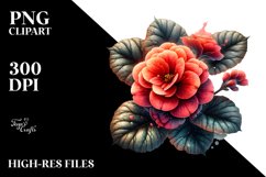 Begonia Clipart Product Image 1