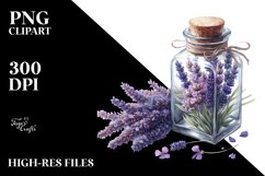Colorful Lavender Bottle | Clipart Product Image 3