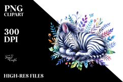 Zebra Sleeping | Clipart Product Image 2