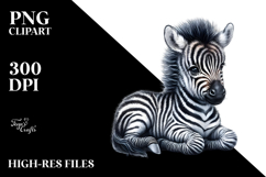 Baby Zebra, High-Quality PNG Product Image 2