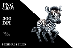 Baby Zebra, High-Quality PNG Product Image 2