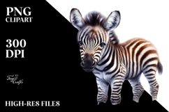 Baby Zebra, High-Quality PNG Product Image 2
