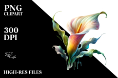 Material Calla Lily Watercolor PNG Product Image 2