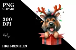Crazy Haircut Bloodhound, Summer PNG Product Image 3