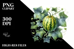 Vintage Bus Ivy Gourd | Sublimation Clipart Product Image 3
