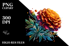 Material Marigold Sublimation Clipart Product Image 2