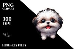 Crazy Looking Shih Tzu | Sublimation | Clipart Product Image 1