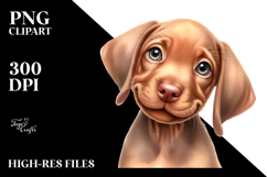 Baby Vizsla, Transparent PNG Product Image 2