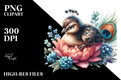 Adorned Baby Peacock Sleeping, Transparent PNG Product Image 2