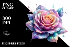 Detailed Shiny Rose Transparent PNG Product Image 3