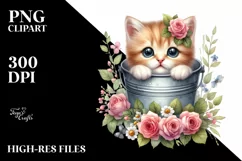 Cute Baby Cat, High-Res PNG Product Image 1