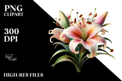 Material Lily Watercolor PNG Product Image 2