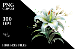 Material Lily Watercolor PNG Product Image 2