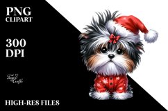 Enthusiastic Baby Havanese PNG Product Image 1