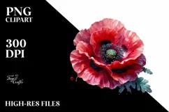 Detailed Glossy Poppy | Sublimation | Clipart Product Image 3