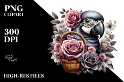 Detailed Gothic Cute Baby Macaw Basket Clipart Product Image 1