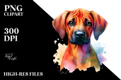 Colorful Cute Rhodesian Ridgeback | Clipart Product Image 3