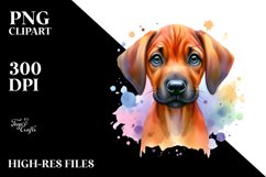 Watercolor Cute Colorful Rhodesian Ridgeback Clipart Product Image 3