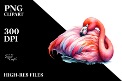 Vibrant Flamingo Sleeping | Clipart Product Image 2