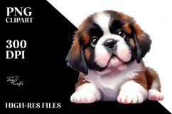 Cute Baby Saint Bernard PNG Product Image 2