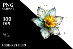 Daffodil Made of PNG Product Image 2