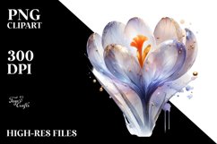 Abstract Shiny Crocus y Material | Clipart Product Image 3