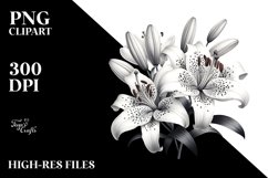 Detailed Lily White Clipart Product Image 1
