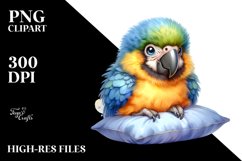 Colorful Baby Macaw with Pillow | Clipart Product Image 1