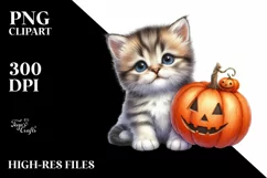Cute Baby Kitten Sitting with Halloween Pumpkin, PNG Product Image 3