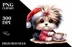 Baby Havanese with Santa Hat PNG Product Image 1
