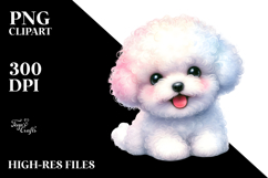 Baby Bichon Frise Product Image 2