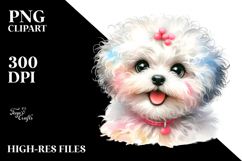 Happy Baby Bichon Frise PNG Product Image 2