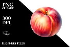 Nectarine Sublimation Clipart Product Image 1