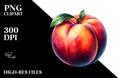Nectarine Sublimation Clipart Product Image 3