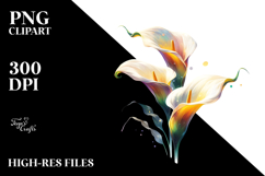 Calla Lily PNG Product Image 2