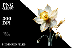 Golden Daffodil Watercolor PNG Product Image 2