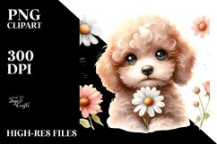 Sublimation|Clipart Product Image 1