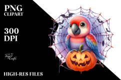 Funny Baby Macaw Clipart | Spider Web Product Image 2
