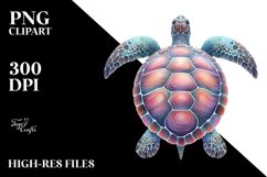 Turte Sublimation Clipart Product Image 1