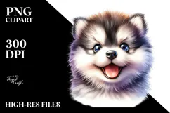 Baby Siberian Husky, Transparent PNG Product Image 2