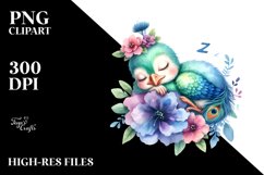 Cute Baby Peacock Animal Clipart Product Image 1