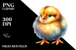 Adorned Baby Chicken Product Image 2